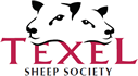 Texel Sheep Society